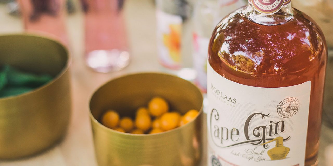 Cape Town Craft Gin Experience