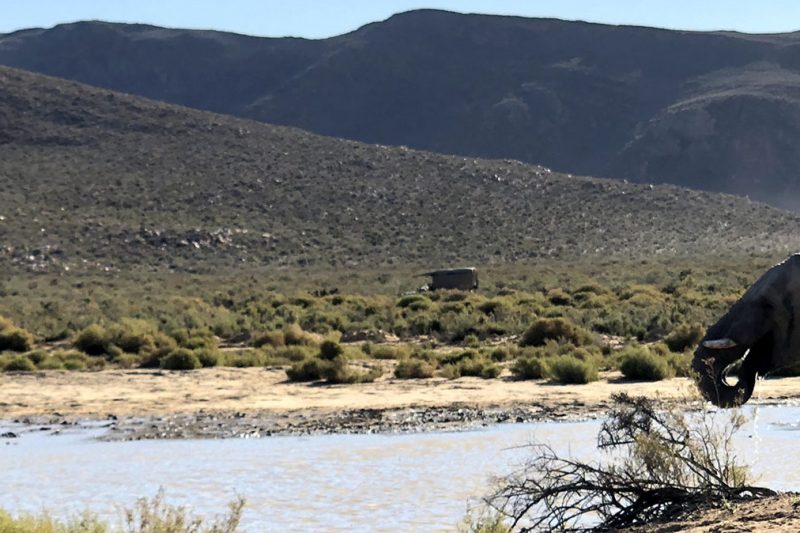 Full Day Aquila Safari