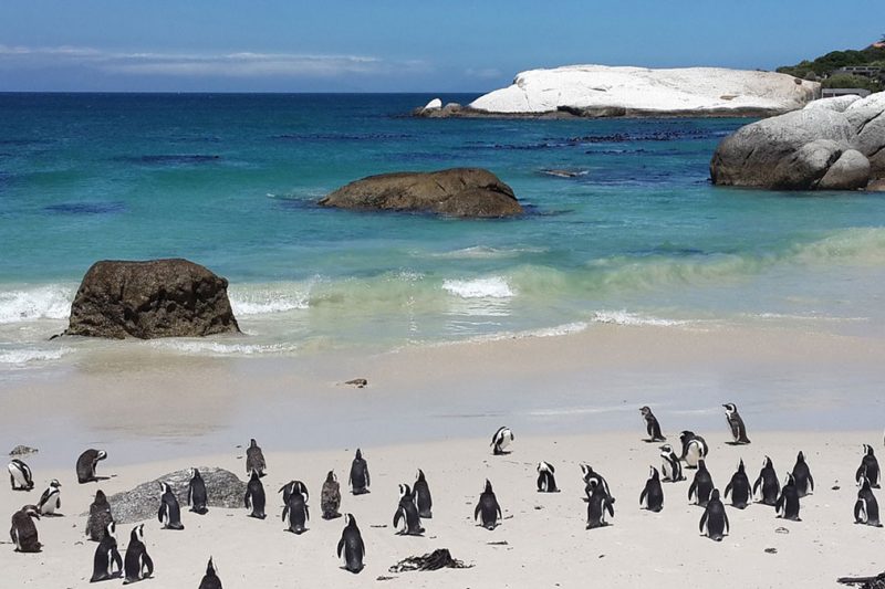 Cape Town Instagram Experience