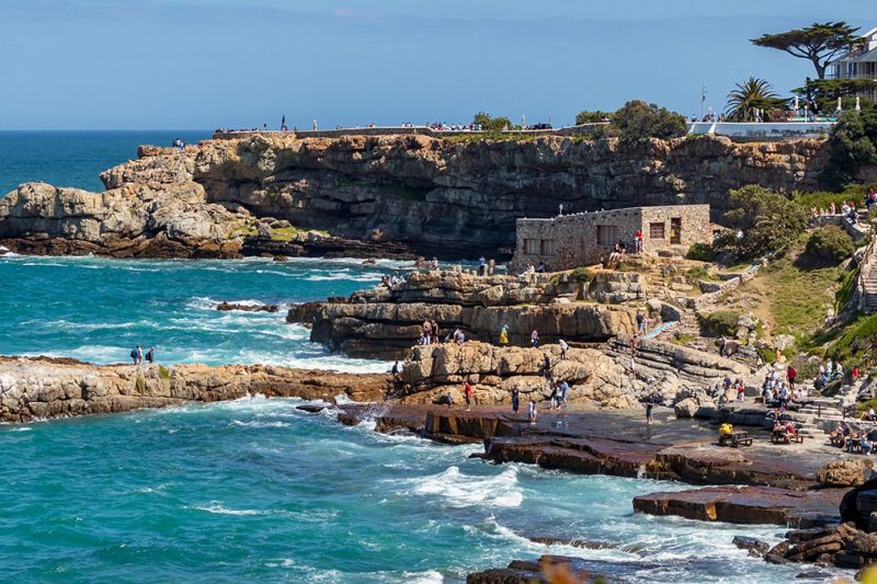 Full Day Hermanus Tour