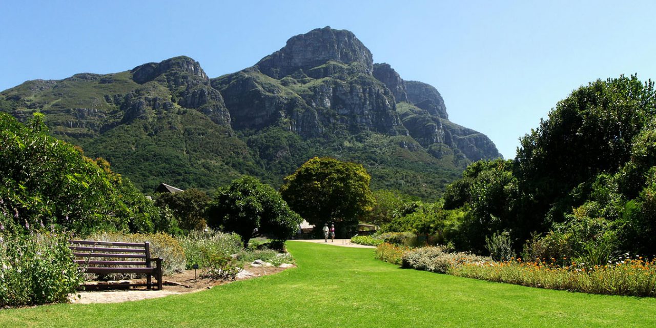 Spectacular Table Mountain & Kirstenbosch Gardens