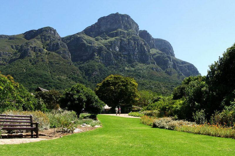 Spectacular Table Mountain & Kirstenbosch Gardens