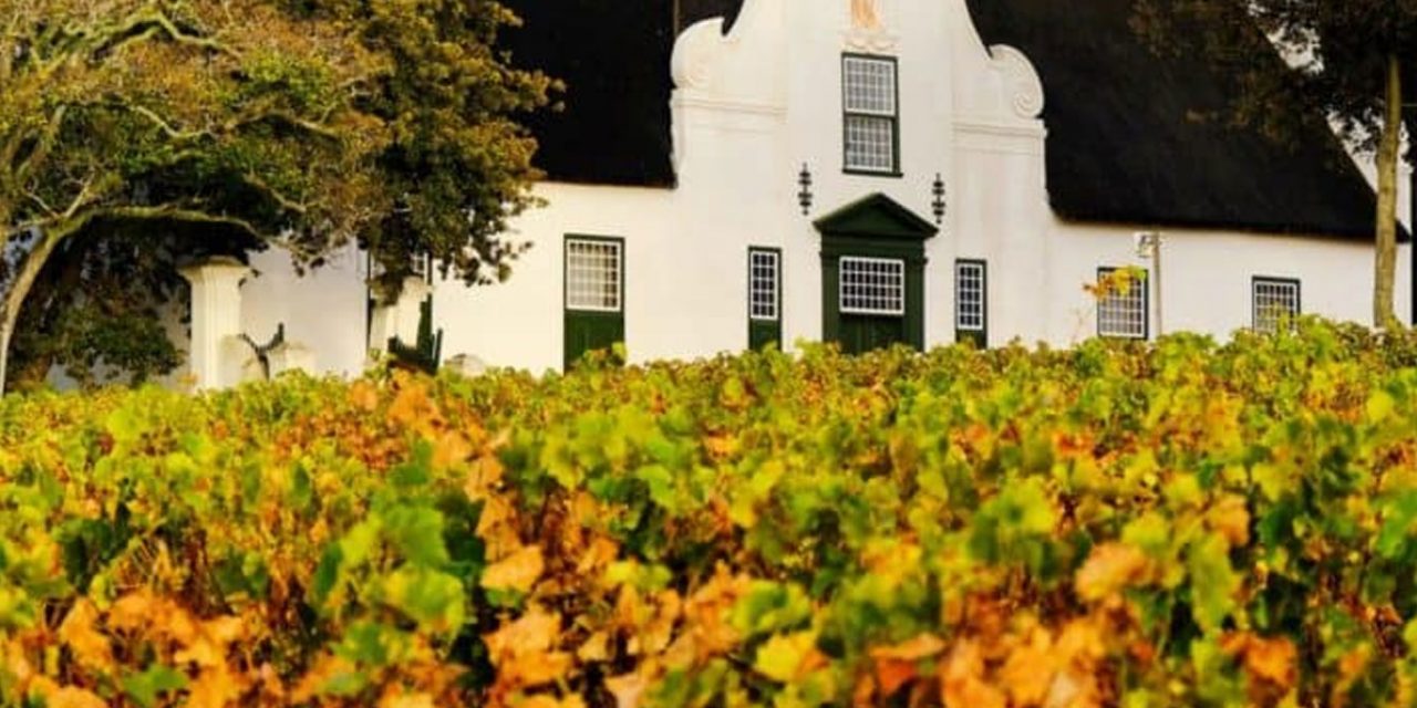 Constantia Winelands Experience