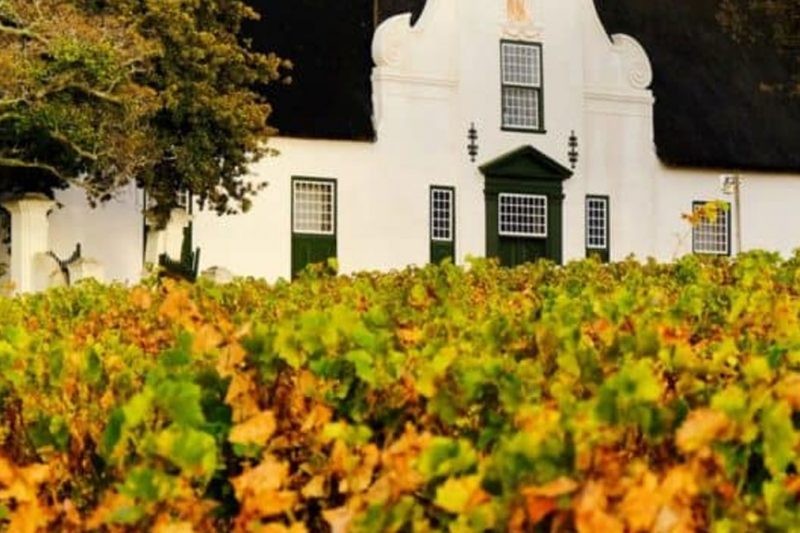 Constantia Winelands Experience