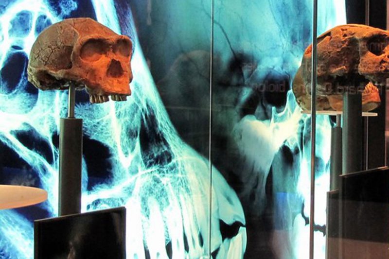 Maropeng, Cradle of Humankind & Sterkfontein Caves Tour