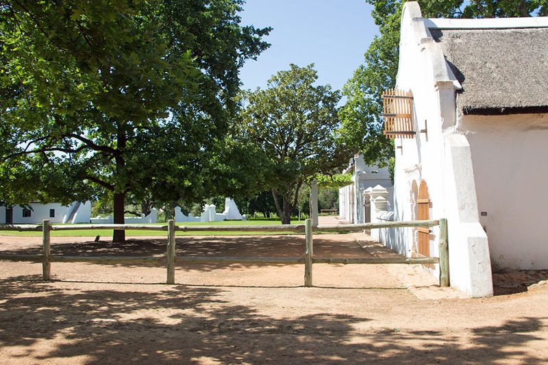 Full Day Cape Winelands with Fairview Wine Estate & Babylonstoren Wine Farm Experience