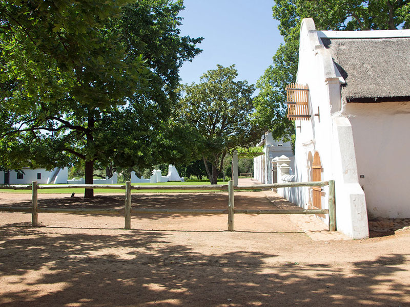 Full Day Cape Winelands with Fairview Wine Estate & Babylonstoren Wine Farm Experience